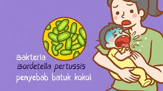 Lindungi Bayi Anda daripada Batuk Kokol [upl. by Anoj]