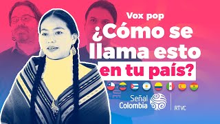 HISPANOHABLANTES discuten las diferencias del IDIOMA ESPAÑOL en cada país [upl. by Aguie]