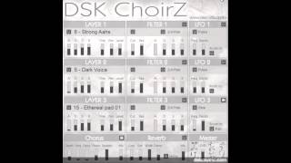 DSK ChoirZ  Free VST [upl. by Ardnosal]