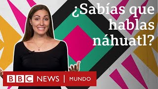 Las palabras que el náhuatl le dejó al español y que usas sin saber  BBC Mundo [upl. by Acinomed151]