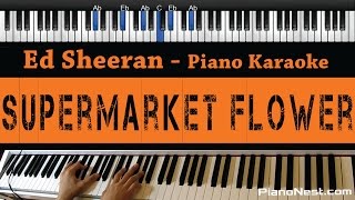 Ed Sheeran  Supermarket Flower  Piano Karaoke  Sing Along  Cover with Lyrics [upl. by Chun919]