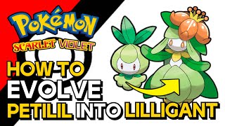 Pokemon Scarlet amp Violet  How To Evolve Petilil Into Lilligant  How To Get Lilligant [upl. by Elidad]