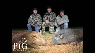 Bruces Hog Hunt with Friends [upl. by Earlene415]