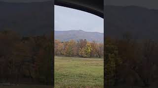 Cades cove fall fallfoliage [upl. by Atinod]