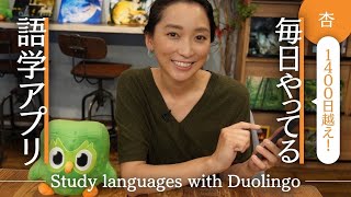 1400 日超え！私が毎日やっている語学アプリ【Study languages with Duolingo】 [upl. by Nicram88]