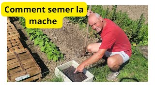 Comment semer de la mache [upl. by Eugenle]