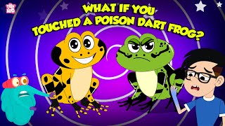 Deadliest Frog  What Happens if you Touch a Poisonous Dart Frog  How to Survive  Dr Binocs Show [upl. by Estren]