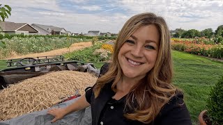 Harvesting Our Wheat amp Turning it Into Flour 🌾✂️👩‍🍳  Garden Answer [upl. by Eilsew]