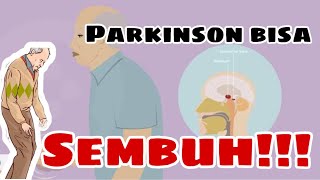 Bagaimana Terapi Penyakit PARKINSON  II Apakah Parkinson BISA SEMBUH parkinson [upl. by Lane]