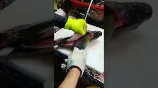 Fish fast cutting and cleaning Tilapia JalebiFish Nilotica shorts fishshorts fishcleaning [upl. by Eeliab]