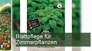 Blattpflege für Zimmerpflanzen [upl. by Annitsirhc]