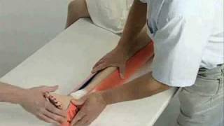 SAM Double Long Leg Splint wmv [upl. by Jb51]