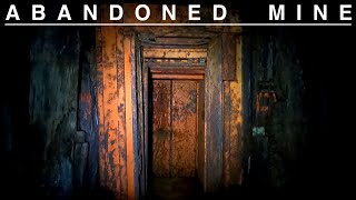 A Deeper Dive Info on the Abandoned Mine Locked and Left Behind [upl. by Egamlat]