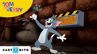 Tom amp Jerry auf wilder Jagd  Schlacht der Zauberstäbe  Cartoonito [upl. by Ilario]