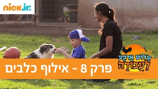 שלוש ארבע לעבודה 2 פרק 8  אילוף כלבים  ניק גוניור [upl. by Ecnahs874]