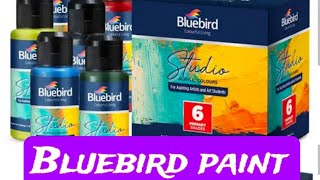 bluebird paint reviewswhich colours are best for all fabric [upl. by Yentruocal]