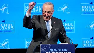 Senate Majority Leader Chuck Schumer reelected in New York [upl. by Haeluj710]