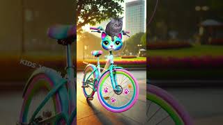 Cat cycle 😹😺  evolution of Cat 💗 [upl. by Aneeb]