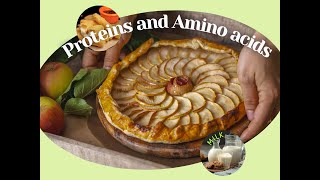 Proteins and amino acids [upl. by Glovsky]