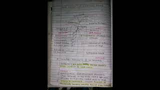 Femoral Nerve Anatomy notes First year Viral [upl. by Atsejam]