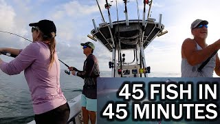 CRAZY Amount of Spanish Mackerel on Artificial Lures at Mayport Jetties  Underwater Footage [upl. by Philoo62]