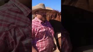 Roping Wild Bull on the Bundy Ranch Surrounded by Cows [upl. by Esiuole]