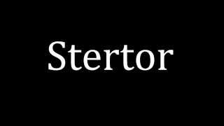 How to pronounce Stertor [upl. by Sakovich66]