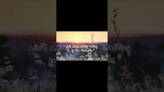 The Climb  Miley Cyrus Lyrics CaidoLyrico MileyCyrus TheClimb Lyrics Shorts [upl. by Hareema575]