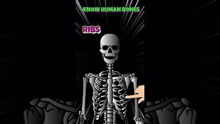 Mind  Blowing Fact About the Human Skeleton facts [upl. by Tarttan]