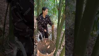 Enjoy Sound of Girl Cutting Bamboo Shoot farming amazing viral fruits bamboo cutiing trending [upl. by Eicyal865]