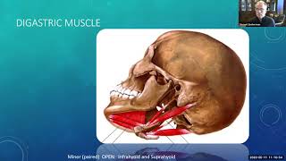 Mandible Fractures Things you should know  Dr Vince Eusterman [upl. by Ansilma]