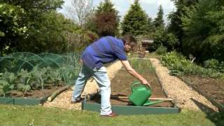 Kitchen Garden magazine Sowing Carrots [upl. by Aehc188]