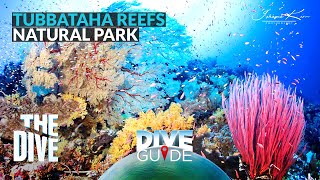 Virtual Diving sa Tubbataha Reefs Natural Park  Dive Guide TheDivePh [upl. by Edik]