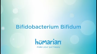 Bifidobacterium Bifidum [upl. by Dareg]