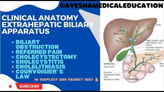 Clinical anatomy of GALLBLADDER and EXTRAHEPATIC BILIARY APPARATUS  ayeshamedicaleducation [upl. by Carew]