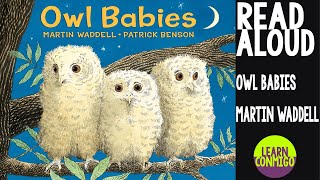 🦉 Owl Babies READ ALOUD by Martin Waddell [upl. by Neetsirk]