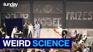 Weird Science Celebrated At Ig Nobel Prizes [upl. by Martyn]