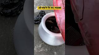 এই মাছ টা কেও খেয়েছো dailyvloggerminivlogaparajitasansarvlogsvlogbristymondalshortvideo [upl. by Seldan]