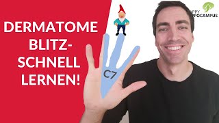 Dermatome lernen leicht gemacht 12  Zervikale amp thorakale Dermatome langfristig merken [upl. by Jahdiel]