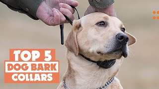 Best Dog Bark Collars 2024  Train Your Pup Without Punishment [upl. by Greggory]