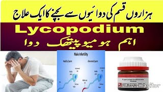 Lycopodium Homeopathic Medicine  Lycopodium 1m Symptoms amp Benefits  Dose 200 1M  Q  USES [upl. by Aihtennek]