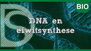 Examen biologie  DNA en eiwitsynthese Celcyclus [upl. by Sadick]