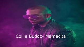 Collie Buddz  Mamacita subtitulado al español [upl. by Halle]