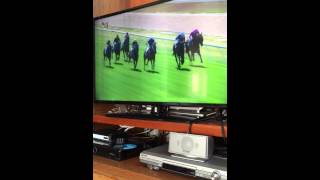 Funny Australian race call ahhhh yawning Melbourne Seymour horse racing [upl. by Verneuil]