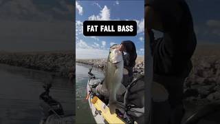 FAT Fall bass kayakbassfishing bassfishing fishing [upl. by Yardley]