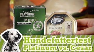 Hundefutter Test Cesar vs Platinum Menu [upl. by Bonne]