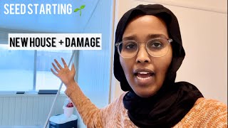 New House  Seed Starting Updates  Water Damage 🌿 😭 😱  Somali Garden [upl. by Enial267]