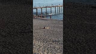 🇹🇷 OBA BEACH 🌞ALANYA TURKEY 🌞 on the beach【4K】🌞🏝🏖🌊 [upl. by Lawford]