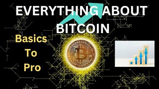 What Is Bitcoin  Everything About Bitcoin Basics To Pro📈 [upl. by Felten]