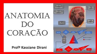 Anatomia do Coração  Dissecação de Coração Suíno [upl. by Nosmas]